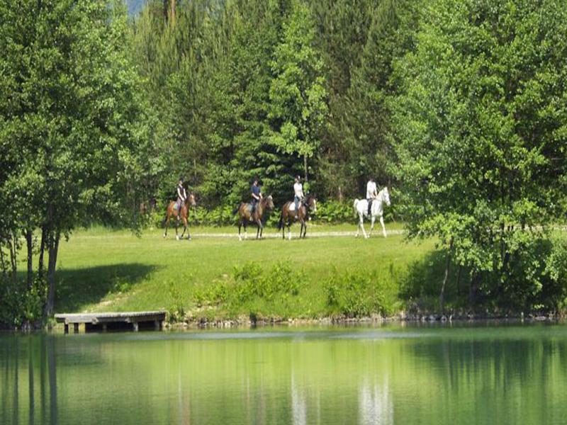 Elegans Hotel Brdo Крань Екстер'єр фото